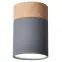 Stropné svietidlo Tuba 1x15W GU10 6.8/10,2