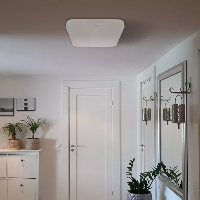Stropnica Urania LED D 24W 4000K 03920 Biely K PL1