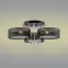 Luster DRS8006/3 TR NET Gold LW3