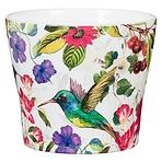 Obal Tropicana 11/808