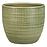 Obal Corteza Menta 866/14