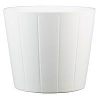 Obal Sophie Panna Biela 949/22