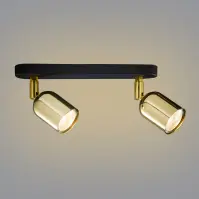 Stropné bodové svietidlo Top Gold 6031 Ls2