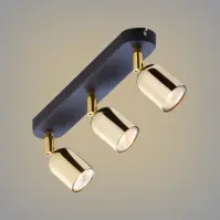 Stropné bodové svietidlo  Top Gold 6032 Ls3