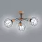 Luster Paloma 28383 LW3
