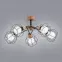 Luster Paloma 28385 LW5