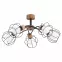 Luster Paloma 28385 LW5,2