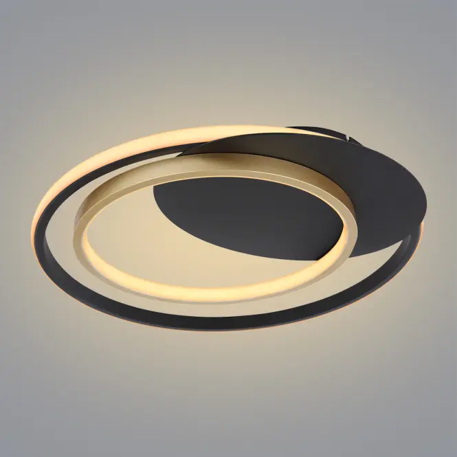 Stropné svietidlo LED 48438-36 3000-6000K D48