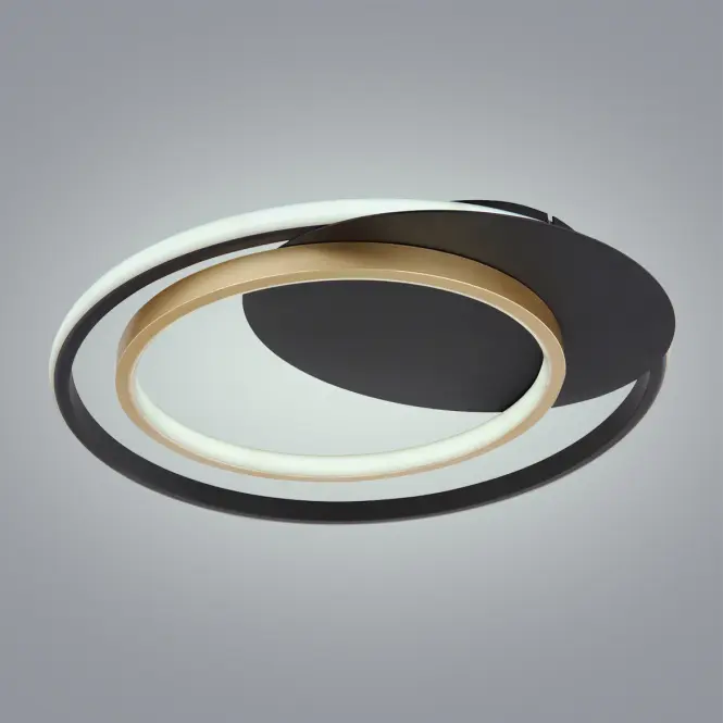 Stropné svietidlo LED 48438-36 3000-6000K D48,3