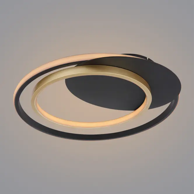 Stropné svietidlo LED 48438-36 3000-6000K D48,4