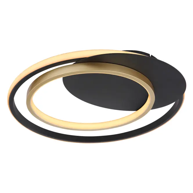 Stropné svietidlo LED 48438-36 3000-6000K D48,6