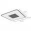Stropnica LED 48445-46 Antracit + Pilot,4