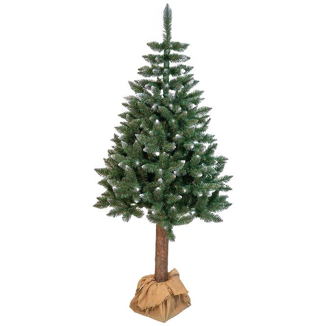 Smrek na kmeni BK 220 cm.