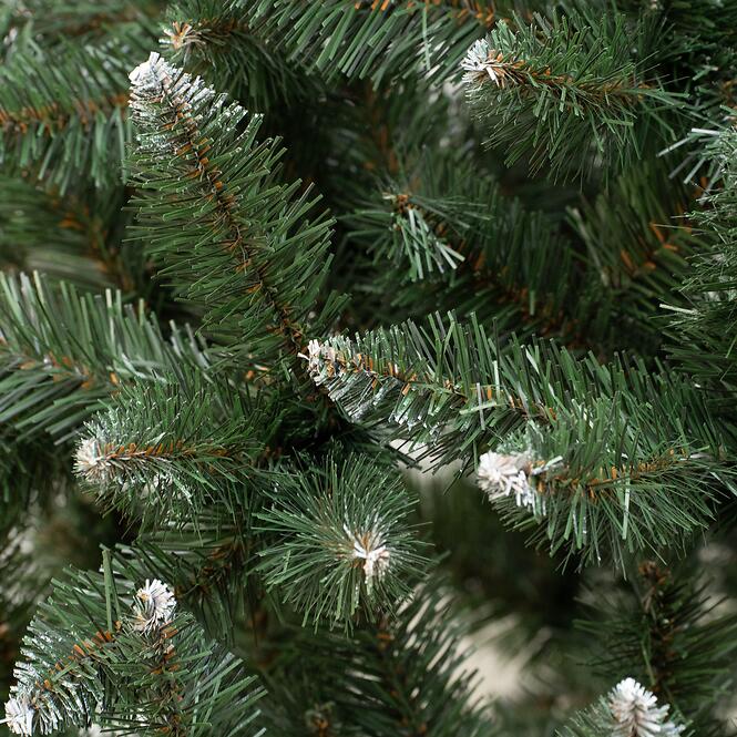 Smrek na kmeni BK 220 cm