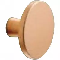 Rukoväť zlatá Plato 31