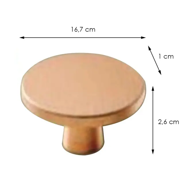 Rukoväť zlatá Plato 31,2