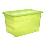 Úložný box Crystal 52 L