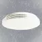 Stropnica Forte EK76710 10W 4000K PL1