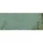 Obklad Goldgreen Green 29,8/74,8,3