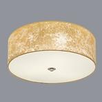 Stropná lampa  Viserbella  97642 Pl3