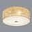 Stropná lampa  Viserbella  97642 Pl3
