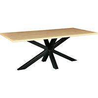 Stôl Oregon 200x100x79 Prirodzené  /Kov