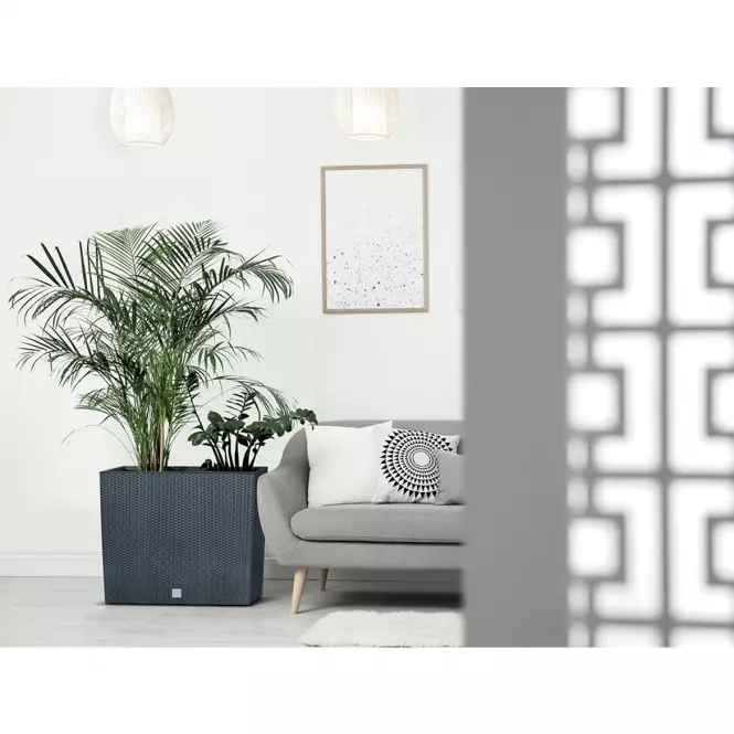 Box Rato Case – Antracit