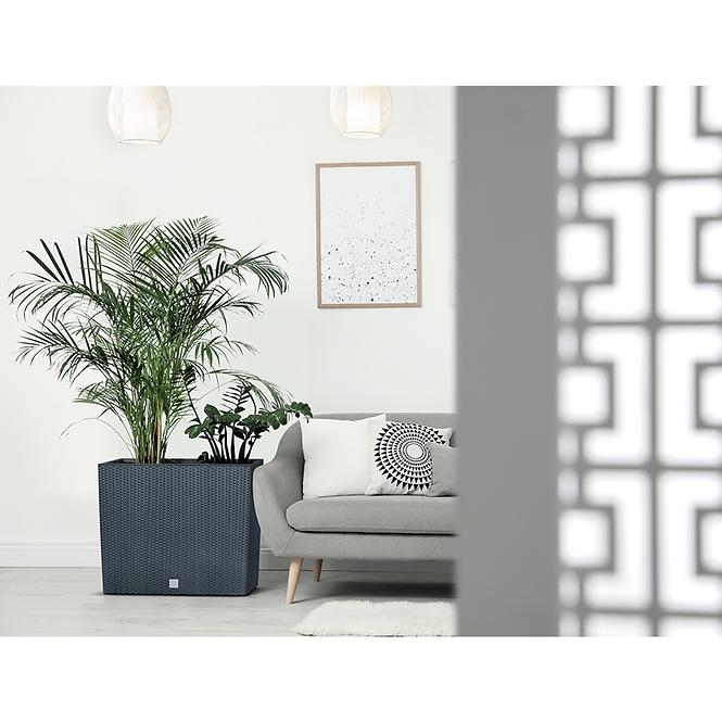 Box Rato Case – Antracit