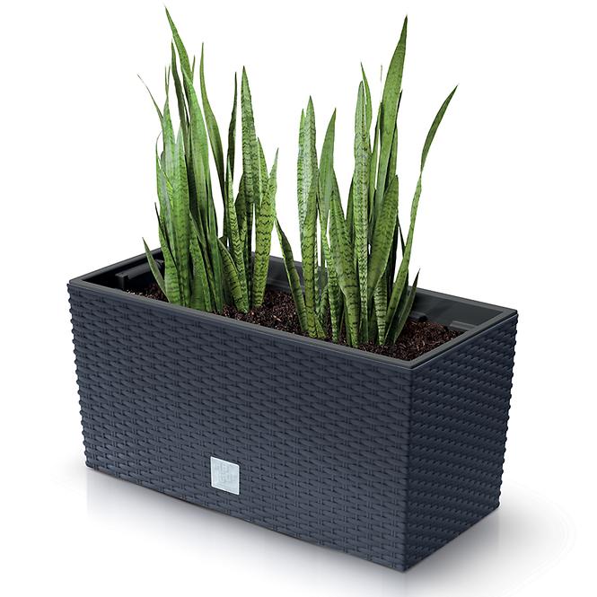 Box Rato Case – Antracit