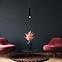 Luster LED ML182 Carbon LW1,5