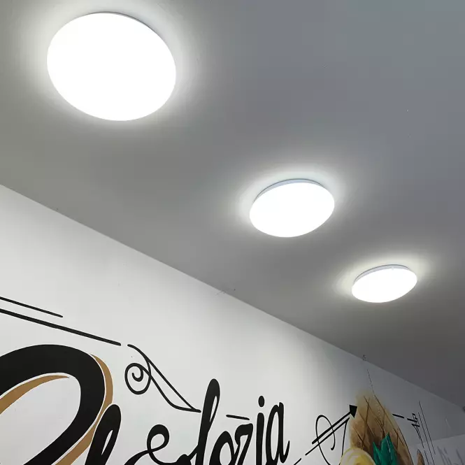Stropná lampa Leon LED C MVS 16W NW 03530 PL1