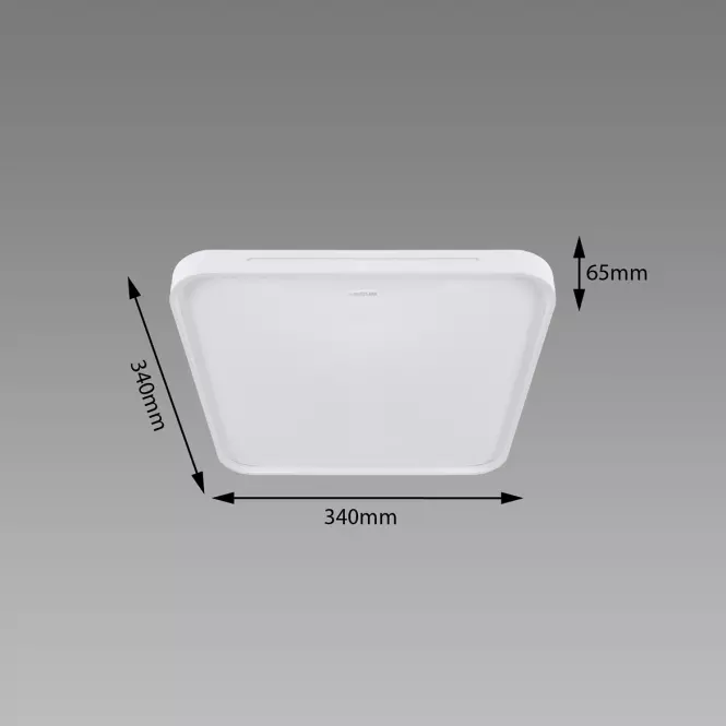 Stropná lampa Wena LED D 24W 04010 PL1