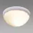 Stropná lampa Aqua Dolunay White S 02942 PL1