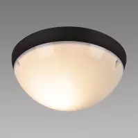 Stropná lampa Aqua Dolunay Black S 03076 PL1
