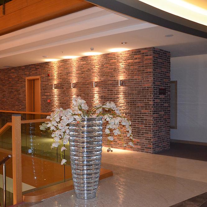 Lampa Aster 2xGU10 Inox 03016 K1,7