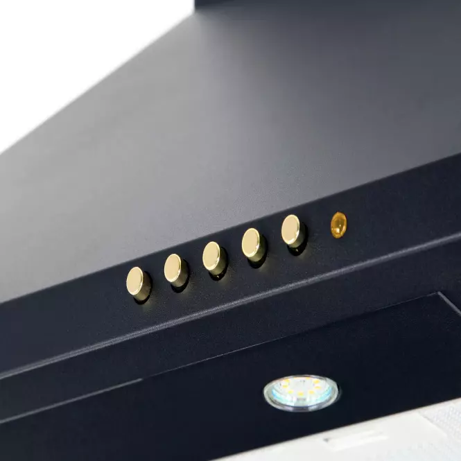 Digestor WK-4 Classic Eco 60 Black / Gold