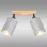 Stropné svietidlo  DAFNE AS-DAE142BR LS2