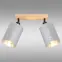 Stropné svietidlo  DAFNE AS-DAE142BR LS2