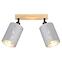 Stropné svietidlo  DAFNE AS-DAE142BR LS2,2