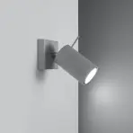 Nástenná lampa Oregon 1 sivá