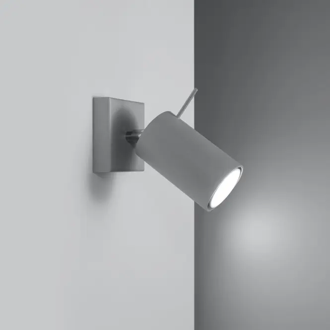 Nástenná lampa Oregon 1 sivá