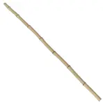 Bambusová tyč 150 cm  Ø3-4 cm