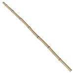 Bambusová tyč 150 cm  Ø3-4 cm