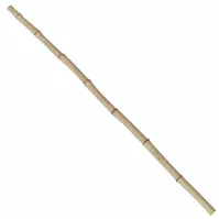 Bambusová tyč 150 cm  Ø3-4 cm