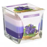 Vonná sviečka SNK80-131 viola
