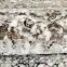 Koberec Heatset Manhattan 1,6/2,3 A176A FFD64,4