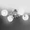 Luster Livia Pro 4 PŁ 28524 LW4