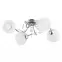 Luster Livia Pro 4 PŁ 28524 LW4,2