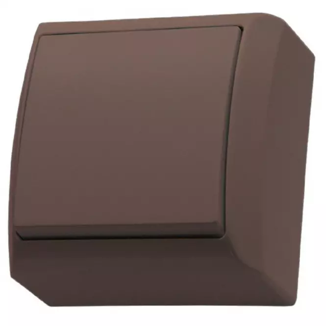Vypínač jednotlivý ŁN-1B.JB BIS