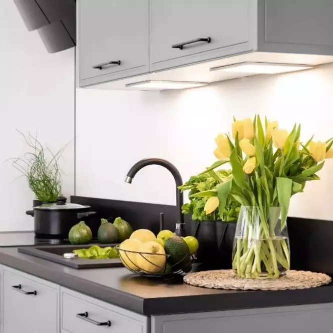 Kuchynské skrinka Emily D60PK MV 2133 PL Dast Grey